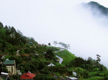 Kinh nghiệm du lịch Tam Đảo