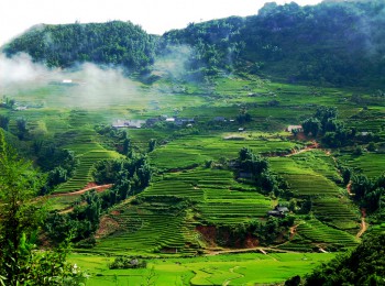 Kinh nghiệm du lịch Mai Châu