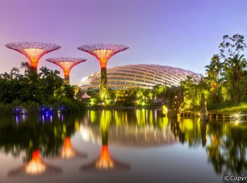 Du lịch Singapore: Cẩm nang từ A đến Z